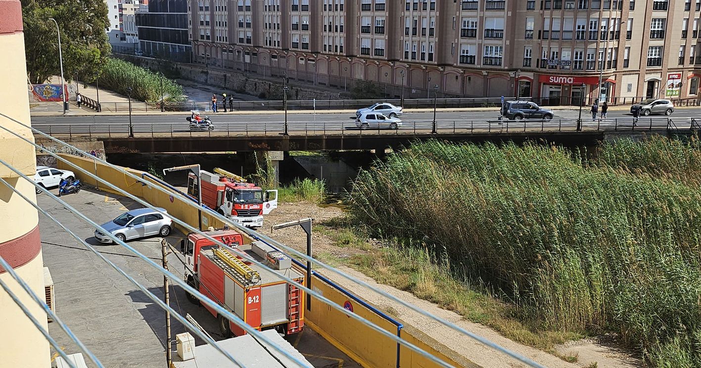 WhatsApp Image 2024 06 11 at 17.35.35 recorte Incendio junto al puente del Tesorillo