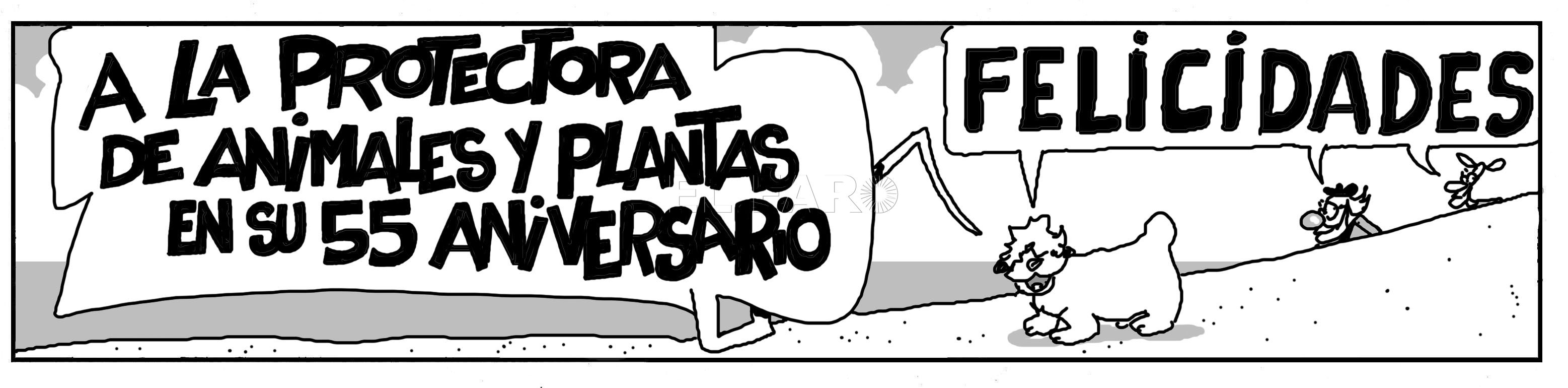 ml250624 Martes 25 de junio de 2024