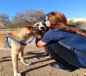 paseadora periodico 2 La experiencia de ser paseadora en la Protectora de Animales de Melilla