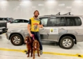 saaasa José Felix Moreno y María Muñoz: “El deporte del  mushing es nuestra forma de vida”