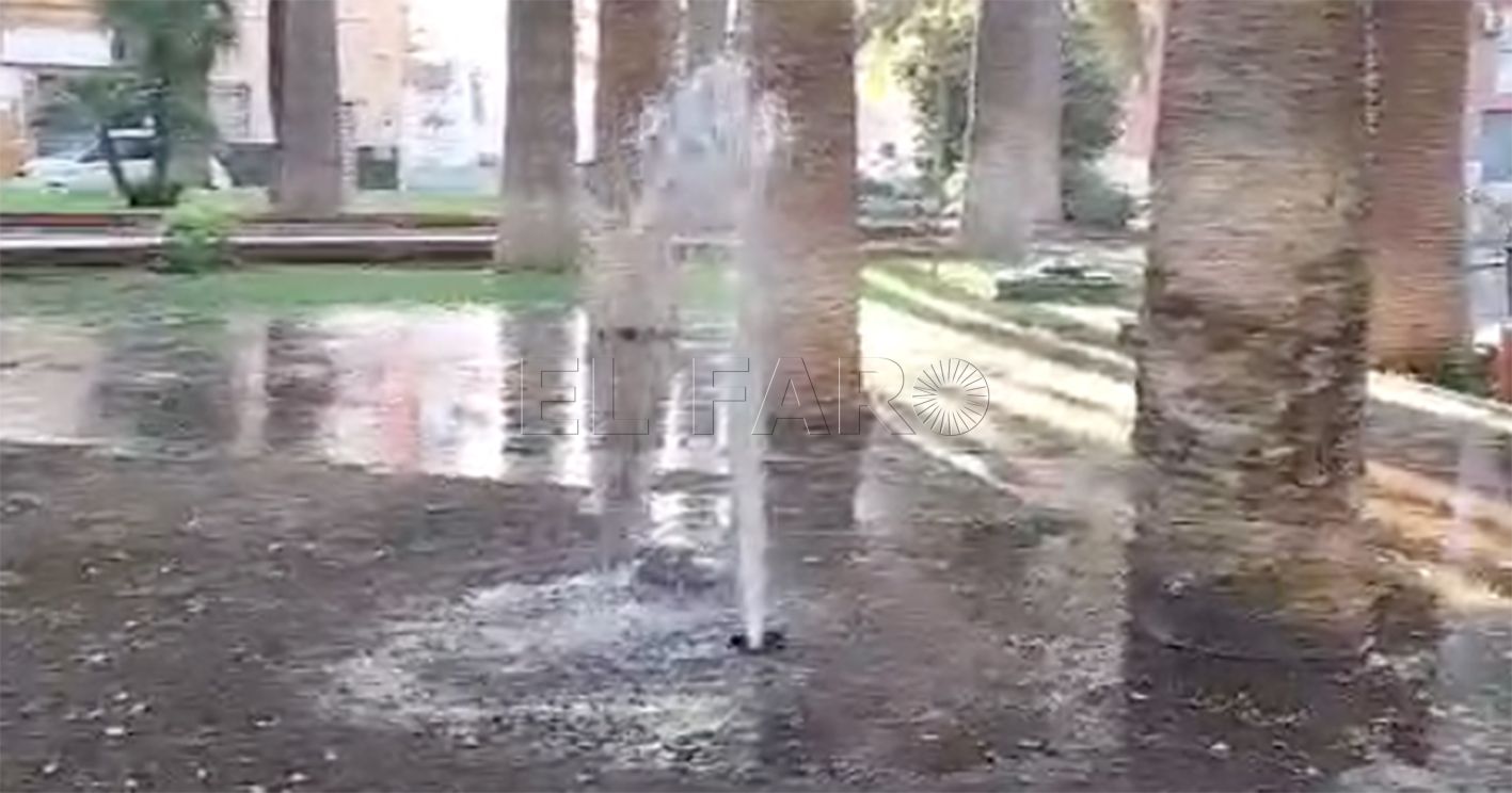 Captura de pantalla 2024 07 04 a las 17.42.16 copia recorte Guelaya asegura que un "géiser de agua" ha estado saliendo tres días en el parque Agustín Jerez