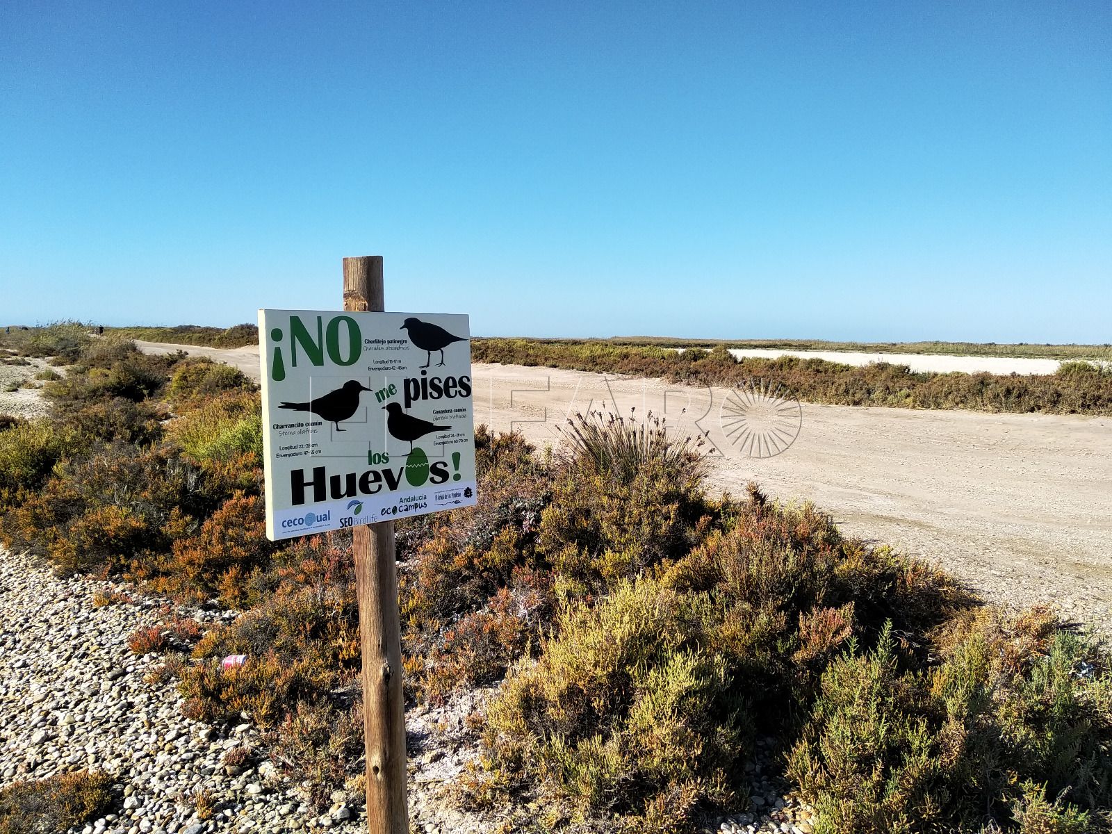 No me pises los huevos Chapó a la cadena de Punta Entinas