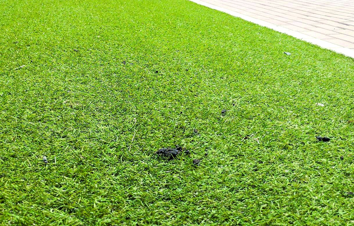 Regalito en el cesped artificial Forrando las ciudades con césped artificial