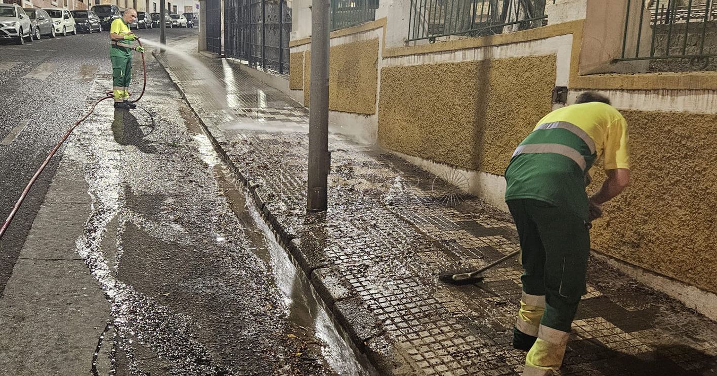 WhatsApp Image 2024 07 11 at 08.31.45 1 recorte Limpieza de choque en Cándido Lobera