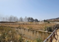WhatsApp Image 2024 07 16 at 11.45.33 Gran incendio en una finca de los alrededores de la carretera Hardu