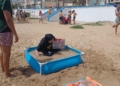 e73b2edc 327f 4f9c a4ef 3c33ee13633c Las playas de Melilla, las grandes protagonistas en el quinto día de la Gran Movida