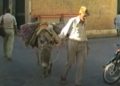 CALEROS AYAMONTE 1994 Los Caleros de Ayamonte de Pepe Gámez