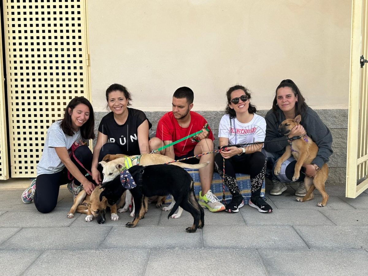 WhatsApp Image 2024 05 12 at 16.29.16 6 e1722509038248 El verano frena las adopciones en la protectora de animales