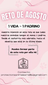 WhatsApp Image 2024 08 01 at 21.06.33 La protectora busca padrinos para sus animales