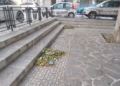 WhatsApp Image 2024 08 08 at 13.02.36 La Ciudad retira las hojas de los árboles en Ciudad de Málaga y Virgen de la Victoria
