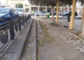 WhatsApp Image 2024 08 08 at 13.02.37 La Ciudad retira las hojas de los árboles en Ciudad de Málaga y Virgen de la Victoria