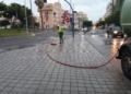 WhatsApp Image 2024 08 08 at 18.24.32 1 La Ciudad retira las hojas de los árboles en Ciudad de Málaga y Virgen de la Victoria