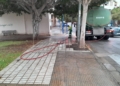 WhatsApp Image 2024 08 08 at 18.24.32 2 La Ciudad retira las hojas de los árboles en Ciudad de Málaga y Virgen de la Victoria