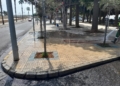 WhatsApp Image 2024 08 08 at 18.24.33 3 La Ciudad retira las hojas de los árboles en Ciudad de Málaga y Virgen de la Victoria