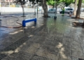 WhatsApp Image 2024 08 08 at 18.24.34 1 La Ciudad retira las hojas de los árboles en Ciudad de Málaga y Virgen de la Victoria