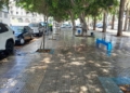WhatsApp Image 2024 08 08 at 18.24.35 La Ciudad retira las hojas de los árboles en Ciudad de Málaga y Virgen de la Victoria