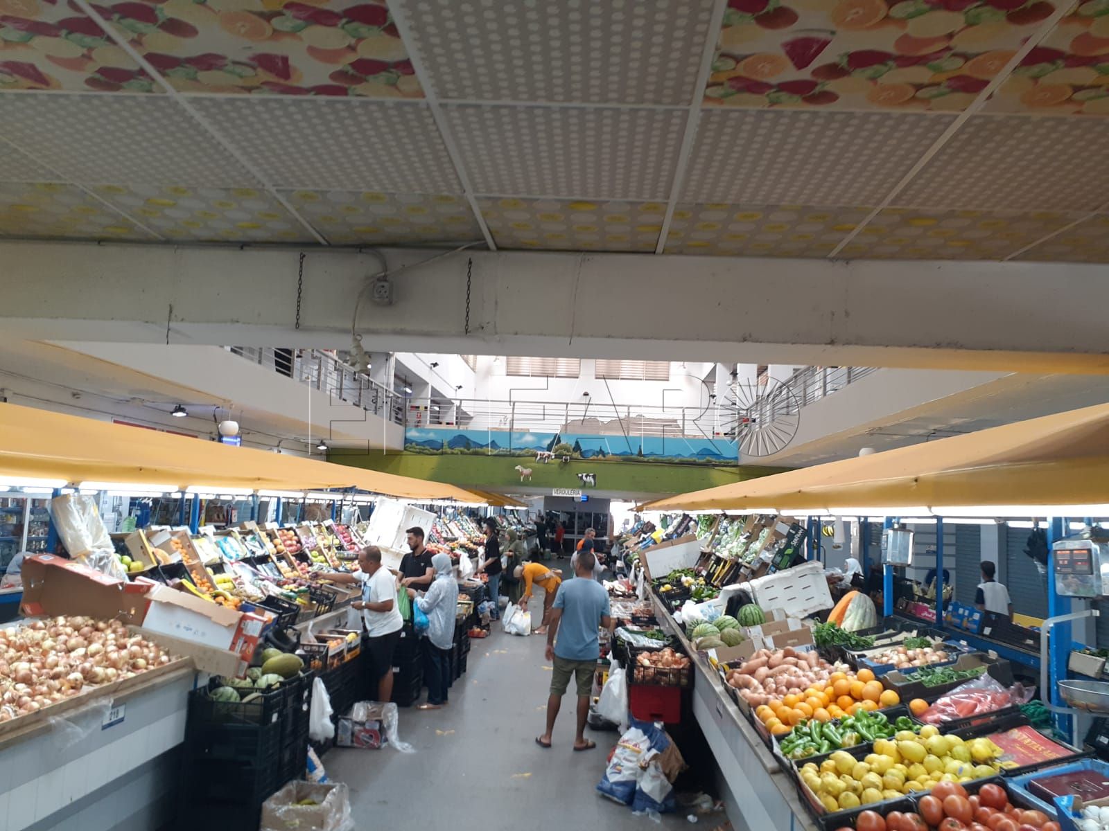 WhatsApp Image 2024 08 20 at 17.23.18 1 Aumentan las ventas en el Mercado Central respecto al verano anterior