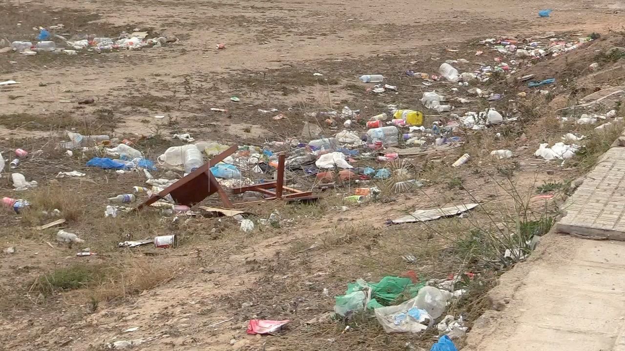 basura cucarachas Medio Ambiente intervendrá en las plagas de cucarachas que acaban de aparecer