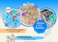 da4db201 aefe 4f9c ad45 beaeff646ccd Los niños melillenses aprenden la importancia de conservar los hábitats con el gran juego de la biodiversidad