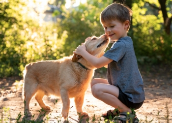 perro y nino Beneficios de crecer con animales