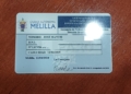 01df0750 7b1f 4ce4 aae4 1b17b04beb83 Un ciudadano melillense denuncia el mal estado en el que le entregaron a su perra tras estar en un criadero
