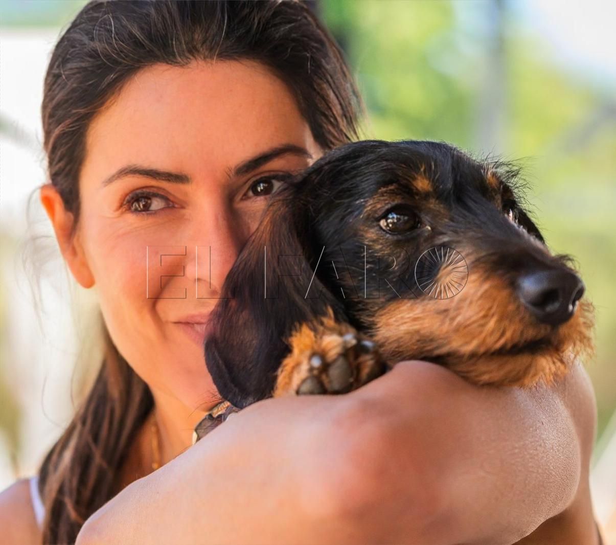 0f56ea1a 77ef 43a9 bd83 a45104a9ec75 “Antes de adquirir un perro hay que informarse de la responsabilidad que conlleva”