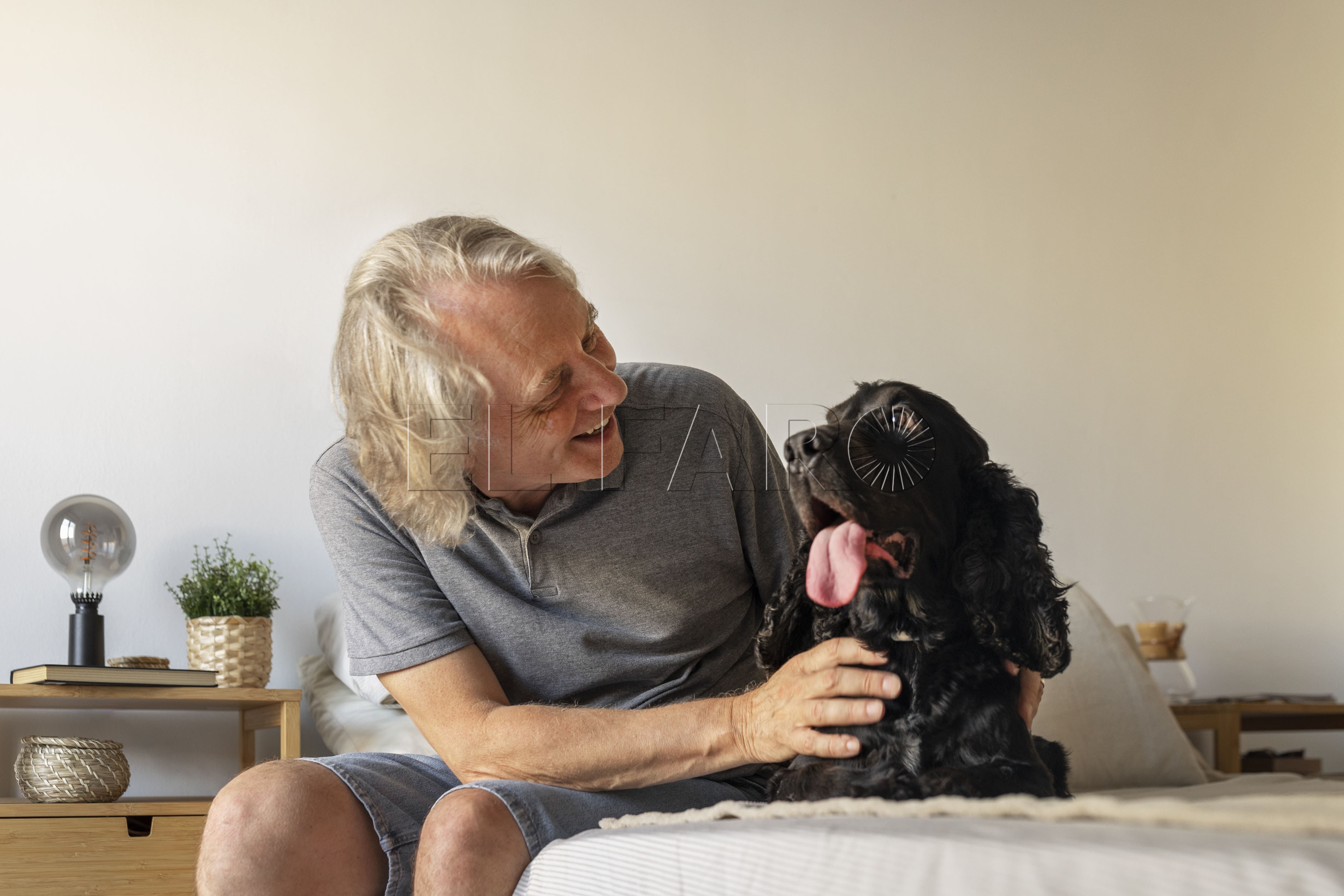 1 6 Los beneficios de los animales para el Alzheimer