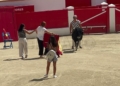 14d02b01 e636 4829 8fbb 0a5671754ca2 La plaza de toros de Melilla sorprende a los vecinos de San Martín del Tesorillo