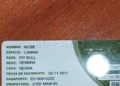 19a96c4a 3815 40e2 8e41 cf81893ee9fa Un ciudadano melillense denuncia el mal estado en el que le entregaron a su perra tras estar en un criadero