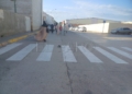 24bcb4bc abe7 4b6b 89f6 98027214fdad Baja la afluencia de personas en la frontera tras la OPE, aunque se mantienen los tiempos de espera para entrar en Melilla