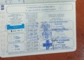 2a0c812f b7ab 4268 b682 ba485c52af64 Un ciudadano melillense denuncia el mal estado en el que le entregaron a su perra tras estar en un criadero