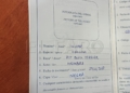 343ea909 6306 456d b9f1 3cec5e168080 Un ciudadano melillense denuncia el mal estado en el que le entregaron a su perra tras estar en un criadero