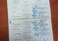 5bcf41b6 74fe 464f ad32 3e10c2ec52be Un ciudadano melillense denuncia el mal estado en el que le entregaron a su perra tras estar en un criadero