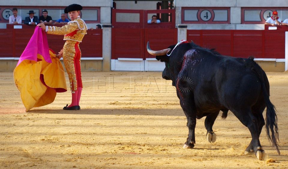 Javier Cortes esperando al toro de espaldas Croniquilla Taurina de Feria. Dos pañuelos para Javier Cortés