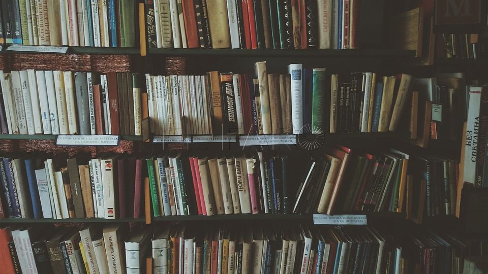 biblioteca Leer literatura