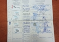 da3d8e1b 5faf 4eda 8d69 468a124efdfe Un ciudadano melillense denuncia el mal estado en el que le entregaron a su perra tras estar en un criadero
