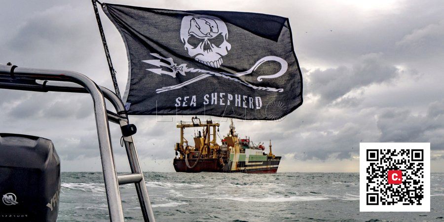 sea shepherd Libertad para Paul Watson
