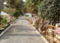 49322683 7f33 4773 9c03 3b52d3d04e78 Medio Ambiente se halla inmerso en los arreglos del cementerio de La Purísima para Todos los Santos