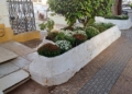 8bc008cd 1bbb 4162 8121 4dc6a9266285 Medio Ambiente se halla inmerso en los arreglos del cementerio de La Purísima para Todos los Santos