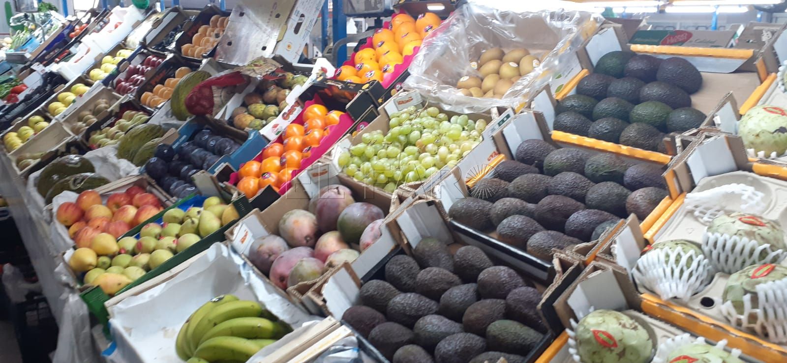 Comestibles 1 Baja el precio de los comestibles en los mercados públicos de Melilla