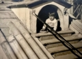 En el antiguo estanque de patos del parque Hernandez Carlos Baeza: "'La ciudad de las cúpulas' no es sino un álbum de fotografías antiguas que intentan transportarte a la Melilla que yo añoro"