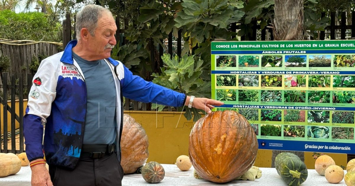 WhatsApp Image 2024 10 14 at 11.01.40 e1728897044583 Una calabaza de más de 19 kilos, récord histórico del concurso de la granja escuela