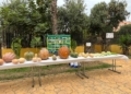 WhatsApp Image 2024 10 14 at 11.01.44 2 Una calabaza de más de 19 kilos, récord histórico del concurso de la granja escuela