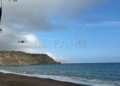 WhatsApp Image 2024 10 23 at 13.10.59 2 El simulacro de emergencias emula un tsunami en Horcas Coloradas
