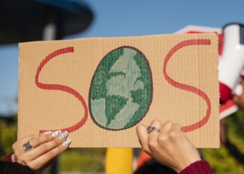 close up hands protesting with placard Guelaya impartirá una formación ambiental en el curso 'Emergencia climática y ecosocial' de la UGR