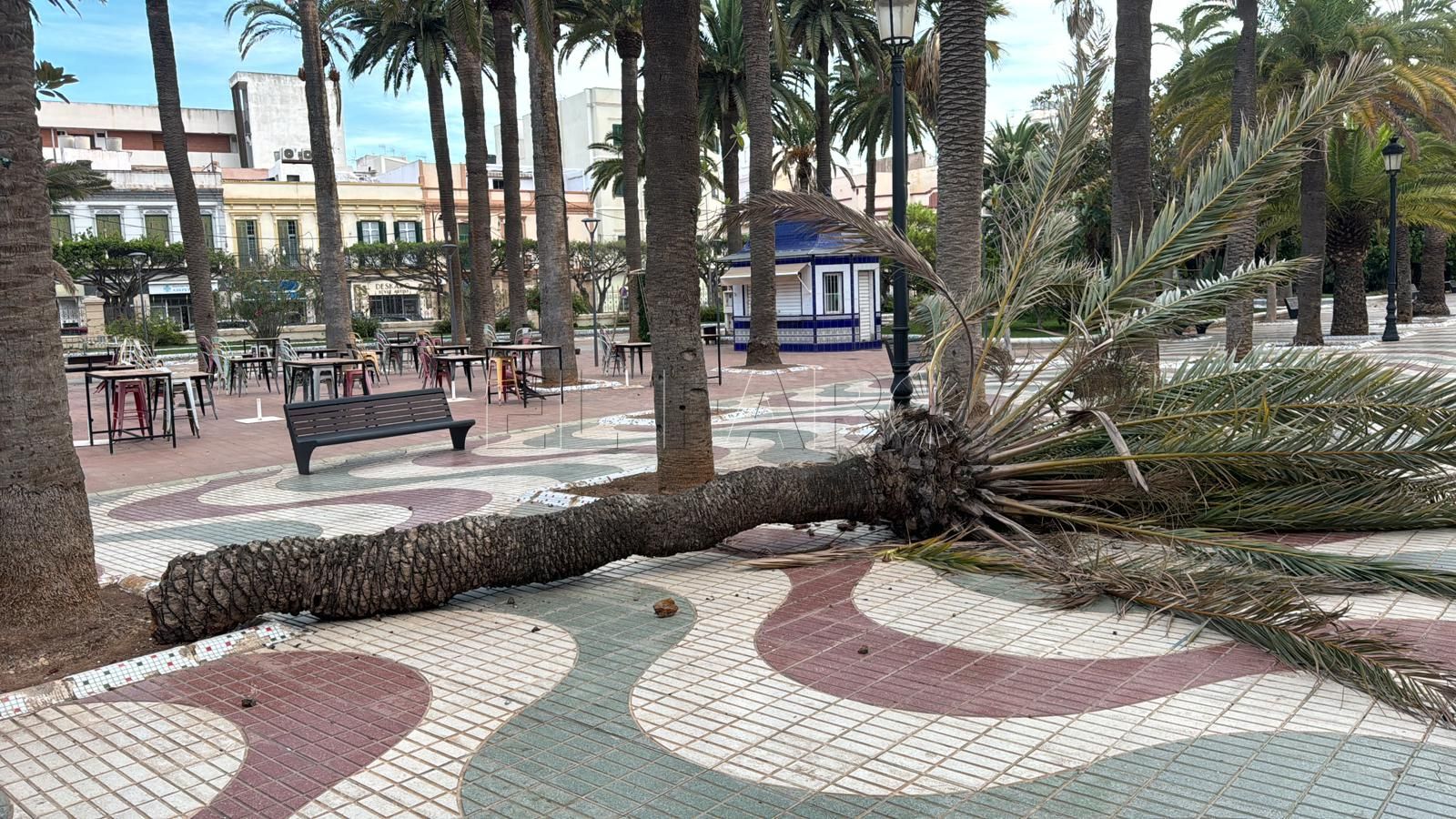 d8dd7e8a 3335 4676 b591 7834b4b83587 La ciudad, en alerta amarilla por fuertes vientos