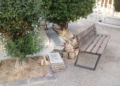 f4fe2916 289b 4beb 8a6f 612fb83e6cd8 Medio Ambiente se halla inmerso en los arreglos del cementerio de La Purísima para Todos los Santos