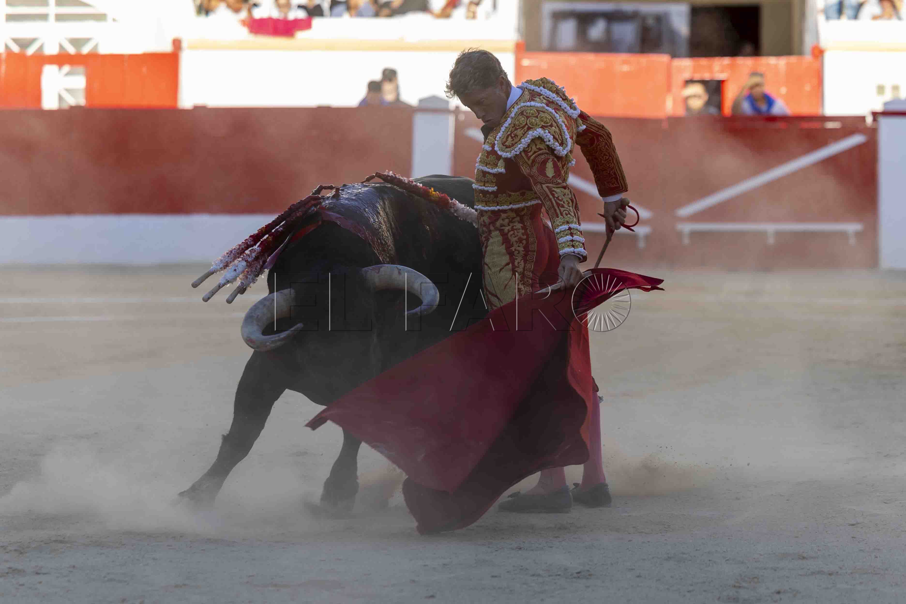 La Fundación Franz Weber insiste contra la presencia de niños en festejos taurinos