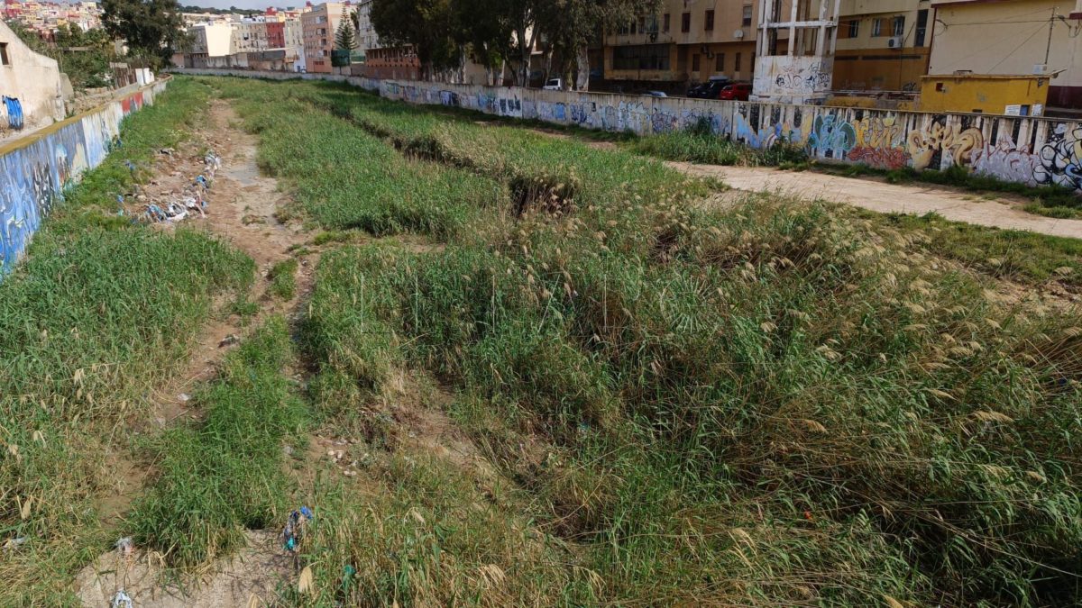 Rio de Oro 9 e1731522980214 Medio Ambiente acelera los trabajos de limpieza del cauce del río y arroyos