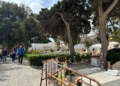 WhatsApp Image 2024 11 01 at 14.04.46 Los melillenses cumplen con la tradición de visitar el cementerio en el Día de Todos los Santos